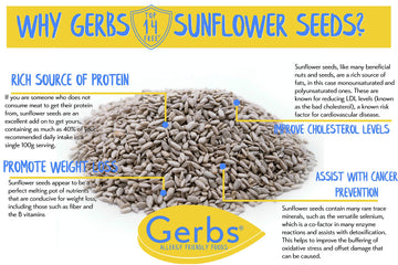 GERBS Sea Salted Sunflower Seed Kernels – 2 LBS, Top 11 Allergen Free, Non-GMO, Premium Dry Roasted, Product of USA