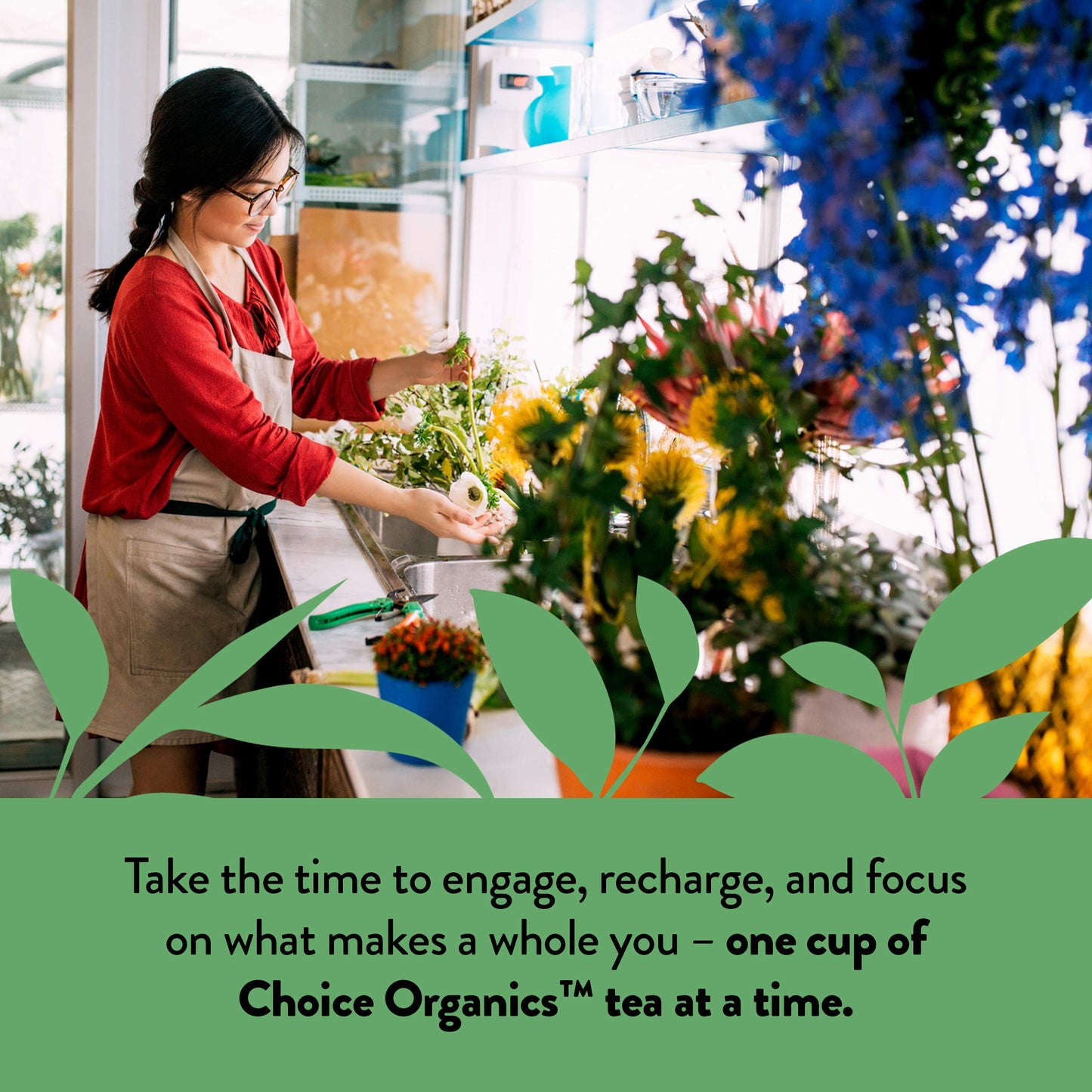 Choice Organic Teas Japanese Green Tea Bags - Compostable - 48 Bags (Pack of 3) - Contains Caffeine