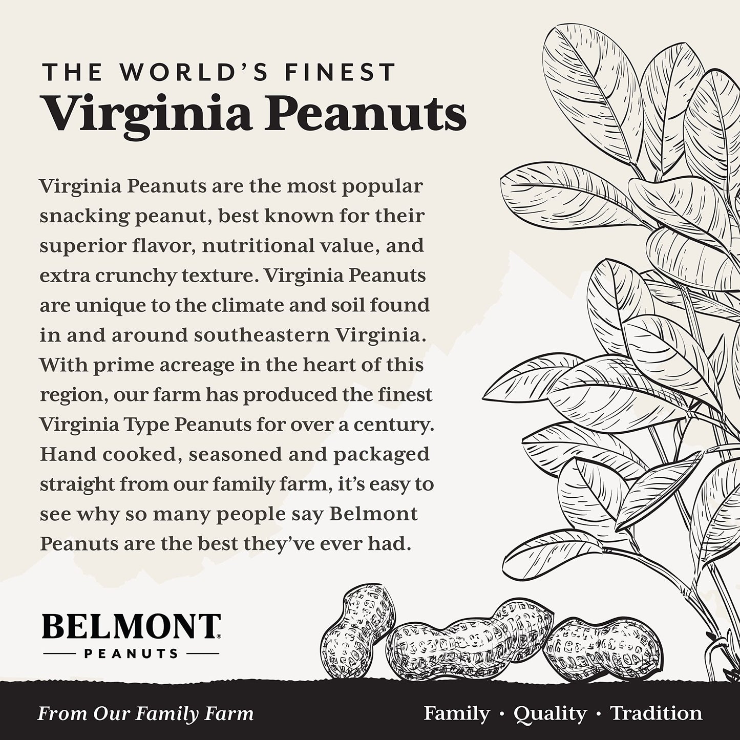 Belmont Peanuts Gourmet Sea-Salted Virginia Peanuts, 20 oz (2 Pack) - Only 3 Simple Ingredients, No Preservatives, 7g Protein -
