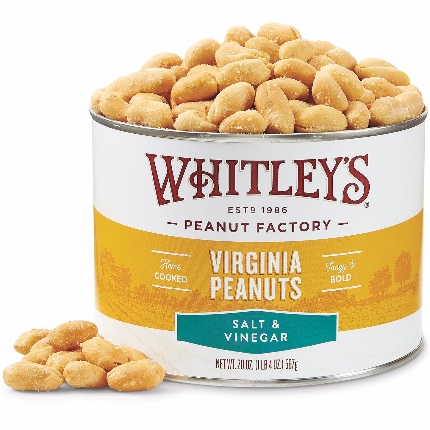 Whitleys Salt & Vinegar Virginia Peanuts - Super Extra Large 'Home Cooked' Virginia Peanuts (20 Ounce Tin)