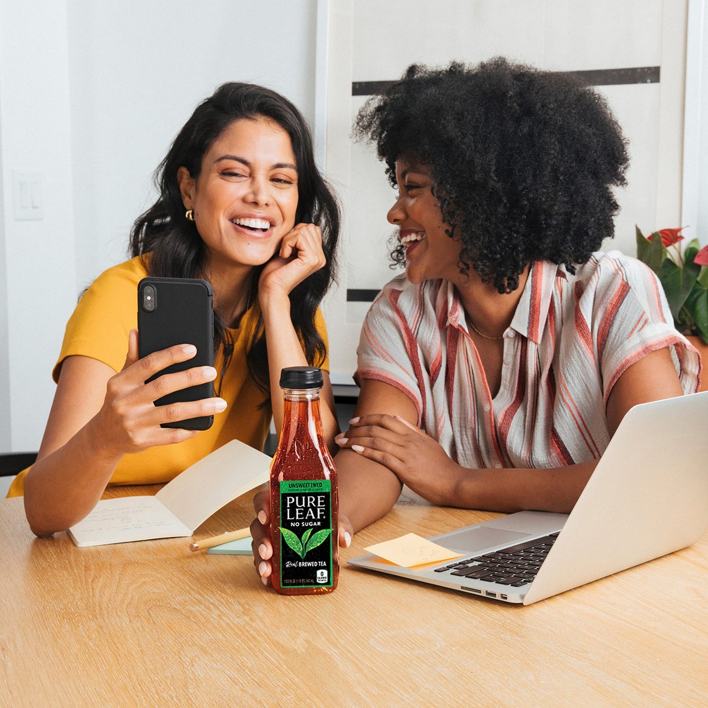 Pure Leaf Iced Tea, Unsweetened 3 Flavor Variety Pack, Zero Sugar & Zero Calories, 18.5 Fl Oz Bottles (Pack Of 12)