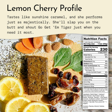 Send Bars Plant-Based Vegan Healthy Protein Bars, With Greens (Lemon Cherry, 8 Bars) – Only Real Ingredients, Zero Added Sugar, Gluten-Free, Dairy-Free