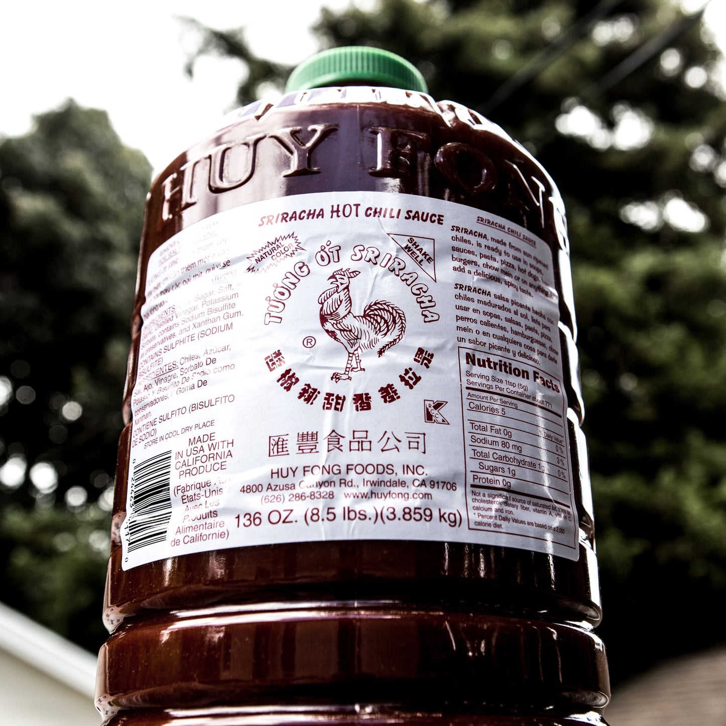 Huy Fong Sriracha Chili Sauce, 8.5 Pound - Spicy, Flavorful Hot Sauce for Cooking and Dipping