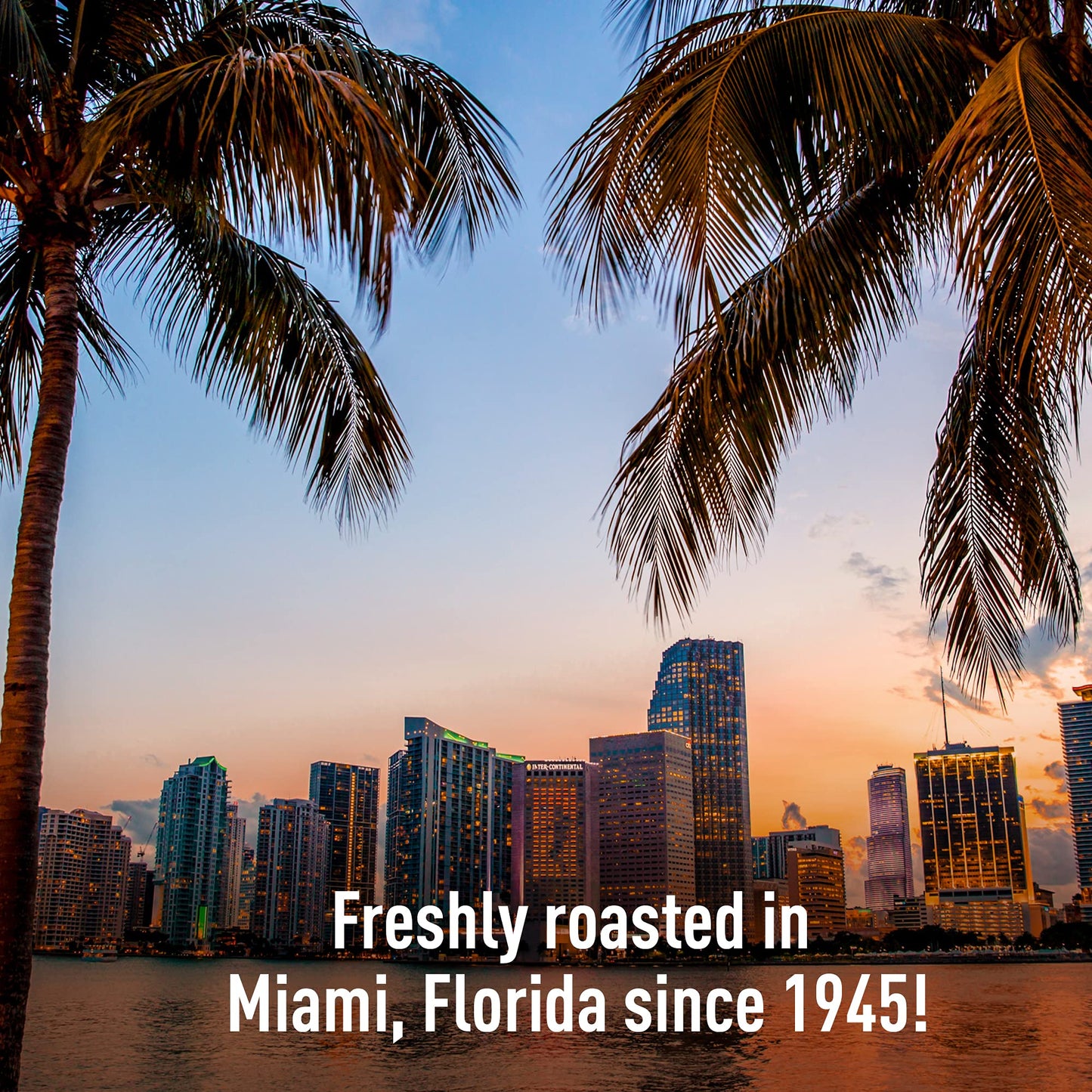 Screen 18 Specialty Grade Enhanced Kenya Aa Coffee Beans, Single Origin, Medium Dark Roast, Whole Beans, 1 Lb