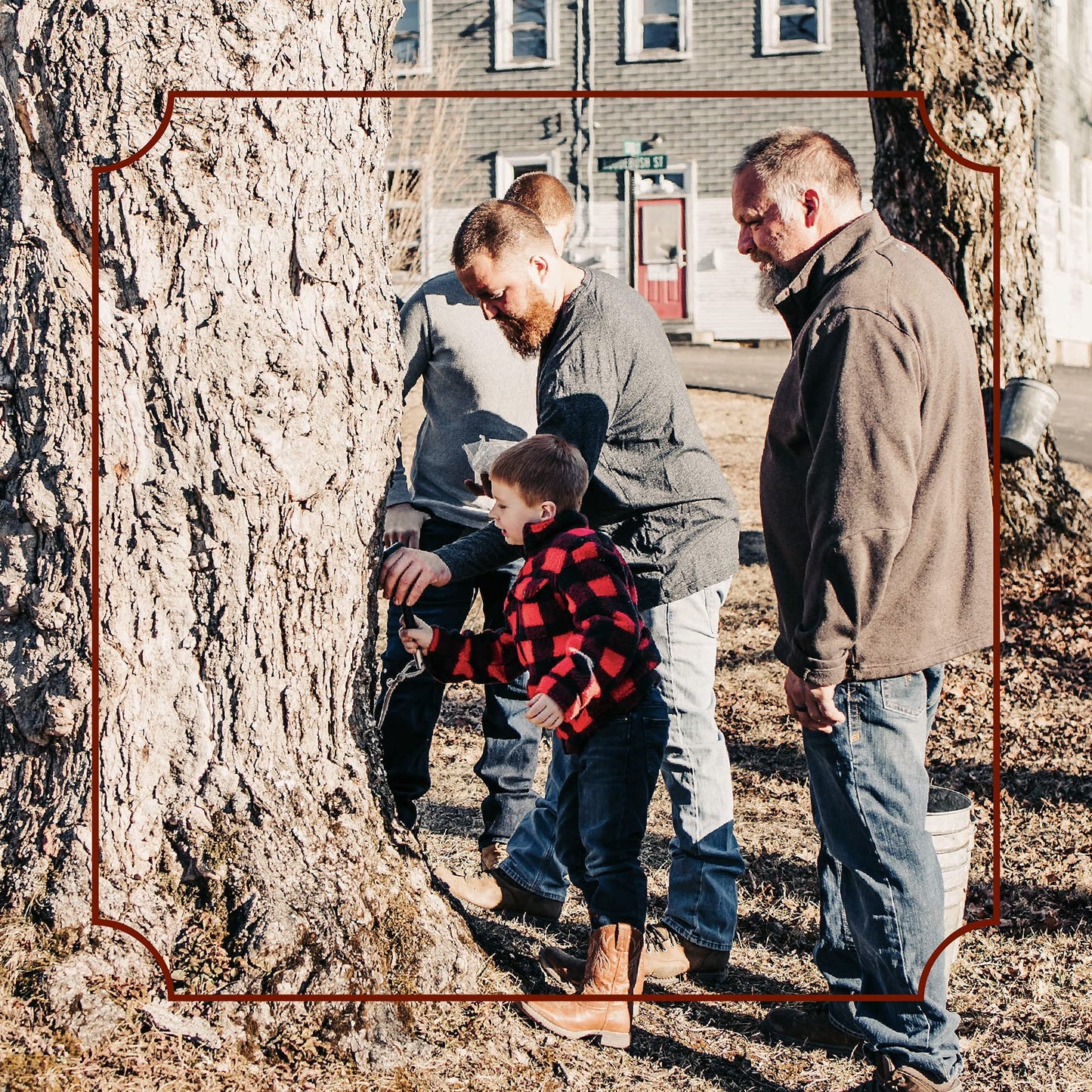 Frost Ridge Maple Farm, Organic Maple Syrup, Grade A, Half Gallon (64 Fl Oz), Medium Amber Rich