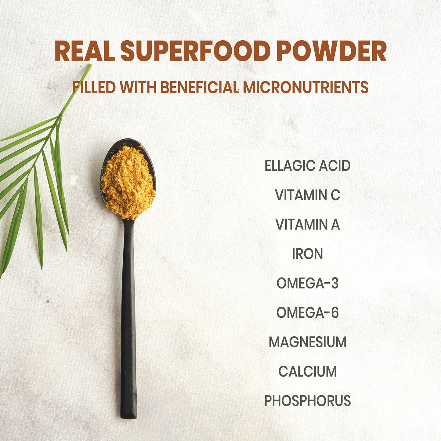 Jungle Powders Wild Cloudberry Powder for Smoothies Baking Jam 3.5 Ounce Bag Pure Nordic Freeze Dried Cloudberry Extract No Suga