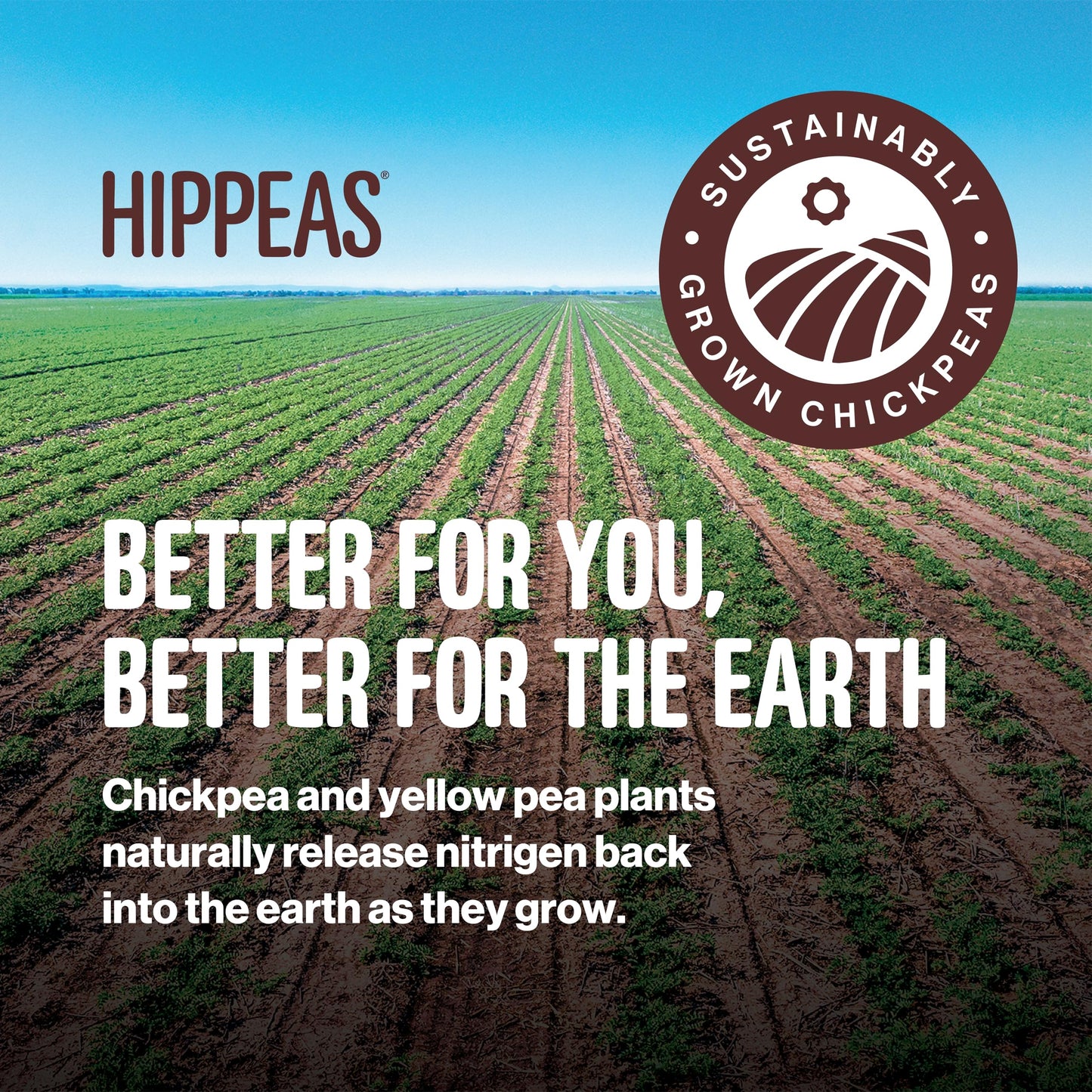 Hippeas Chickpea Puffs, Variety Pack: Vegan White Cheddar, Nacho Vibes, 0.8 Ounce (Pack of 30), 3g Protein, 2g Fiber, Vegan, Glu