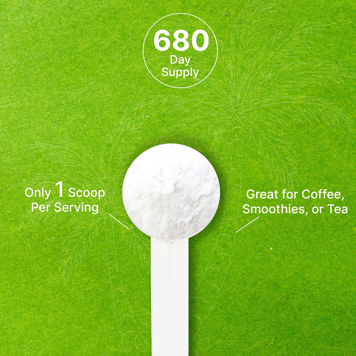 Unsweetened Organic Coconut Milk Powder, 3Lbs - Dairy Free Creamer Alternative - Sugar Free Raw Flavor - Rich Source Of Mct Oil