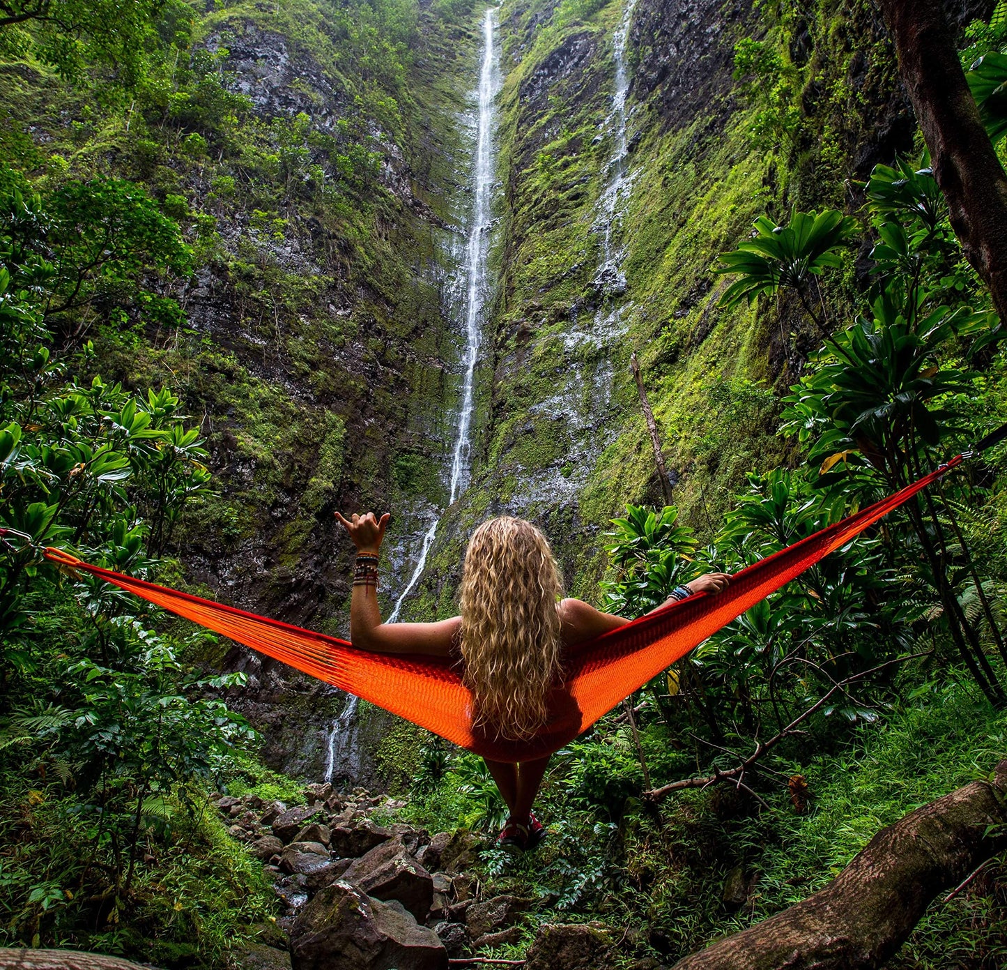 100% Kona Coffee - Whole Bean, Medium Roast, Single Estate Gourmet Coffee, 8 Ounces, Farm Fresh Roasted From Domain Kona Coffee