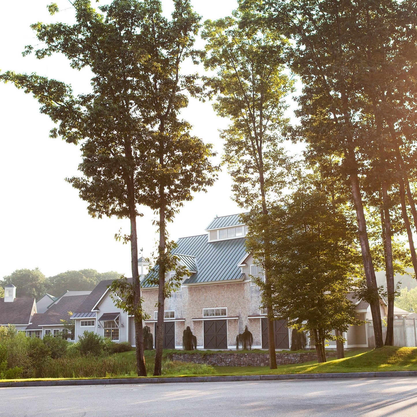 Stonewall Kitchen Ginger Scallion Noodle Sauce, 8 Oz