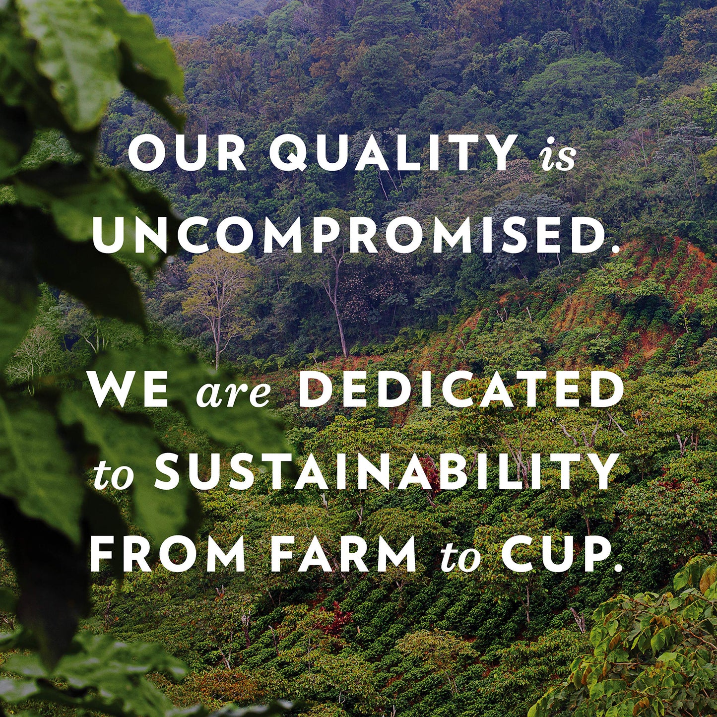 Community Coffee Caramel Pralines And Cream Iced Latte Ready To Drink, 13.7 Ounce Bottle