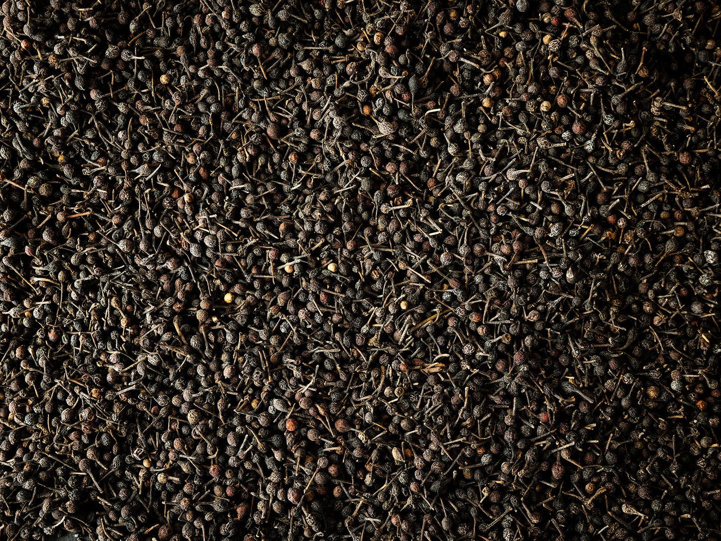 Peugeot Voatsiperifery Madagascar Wild Peppercorns, 60g - 3 fresh sachets of 20g