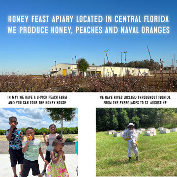 Honey Feast - Island Honey 3lb - Indulge in Raw & Unfiltered Small Batch Beekeepers Delight