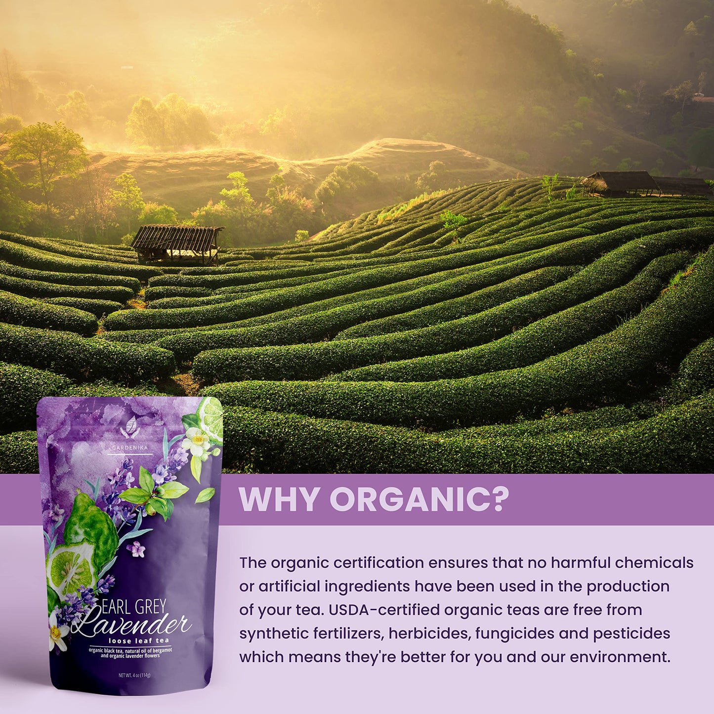 Gardenika Organic Earl Grey Loose Leaf Tea with Lavender and Bergamot Oil, Caffeinated Black Leaves, Kosher, No Natural or Artif