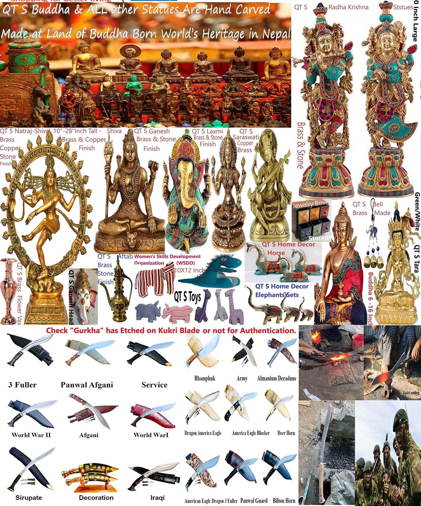 Organic Fresh Ginger Roots Snow Hill Himalayan Ginger Roots - Product Of Mt. Everest Country, Nepal | If Need Fresh Batch, Choos