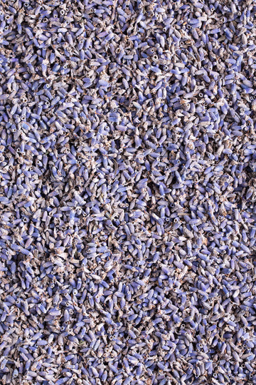 Organic Lavender Tea | 100% Certified Organic | Food Grade Dried Lavender Flowers | Perfect For Tea, Baking, Lemonade, Diy Beauty, Sachets & Fresh Fragrance | 100% Raw Albanian Harvest | Large 4Oz