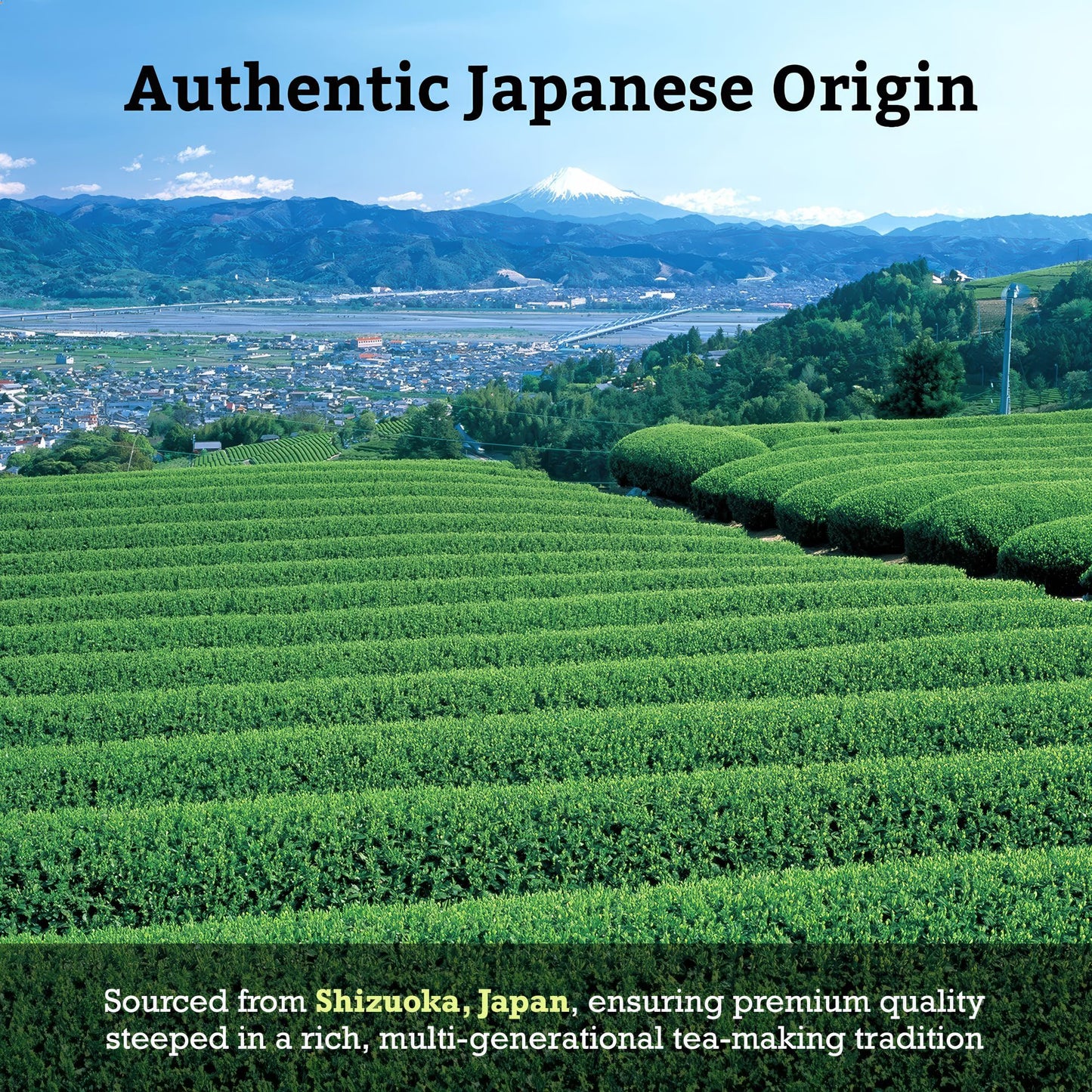 Sugimoto Tea Japanese Kukicha Stem Green Tea Bags 20 Count Pack Of 3