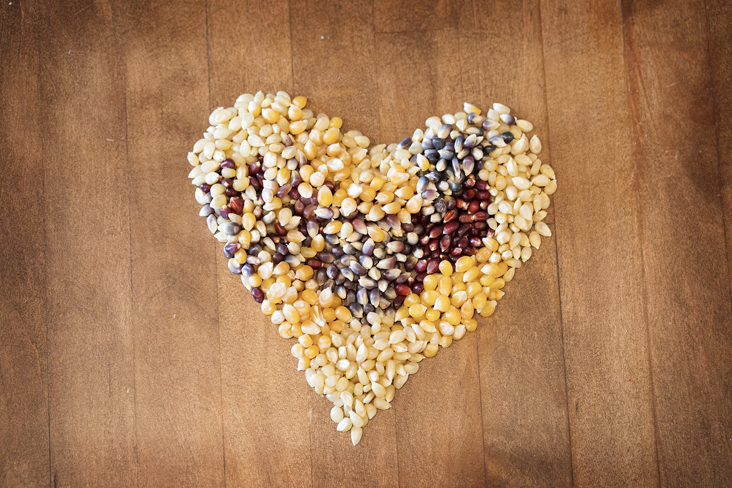 Amish Country Popcorn | 3-1 lb Bags | Purple, Red and Blue Popcorn Kernels | Old Fashioned, Non-GMO and Gluten Free (3-1 lb Bags