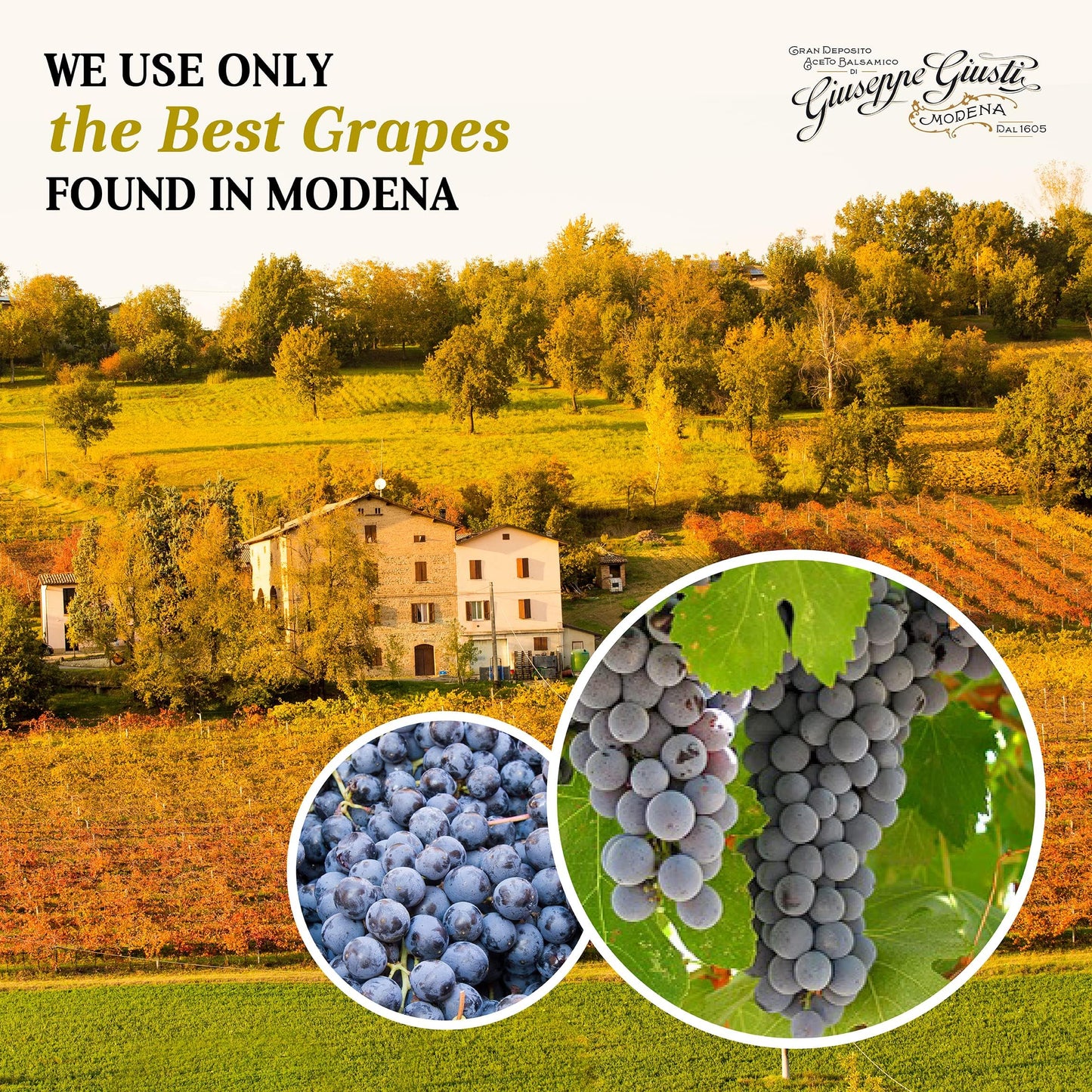 Giuseppe Giusti Balsamic Vinegar Of Modena And Extra Virgin Olive Oil Set- Gran Deposito Aceto Balsamico Di Modena Igp, Cold Pre