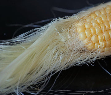 Cornsilk, Cut & Sifted