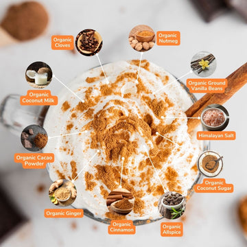 Dairy Free Pumpkin Spice Hot Cocoa Mix | 10 Serving Stand Up Pouch | Gluten Free, Vegan, Organic