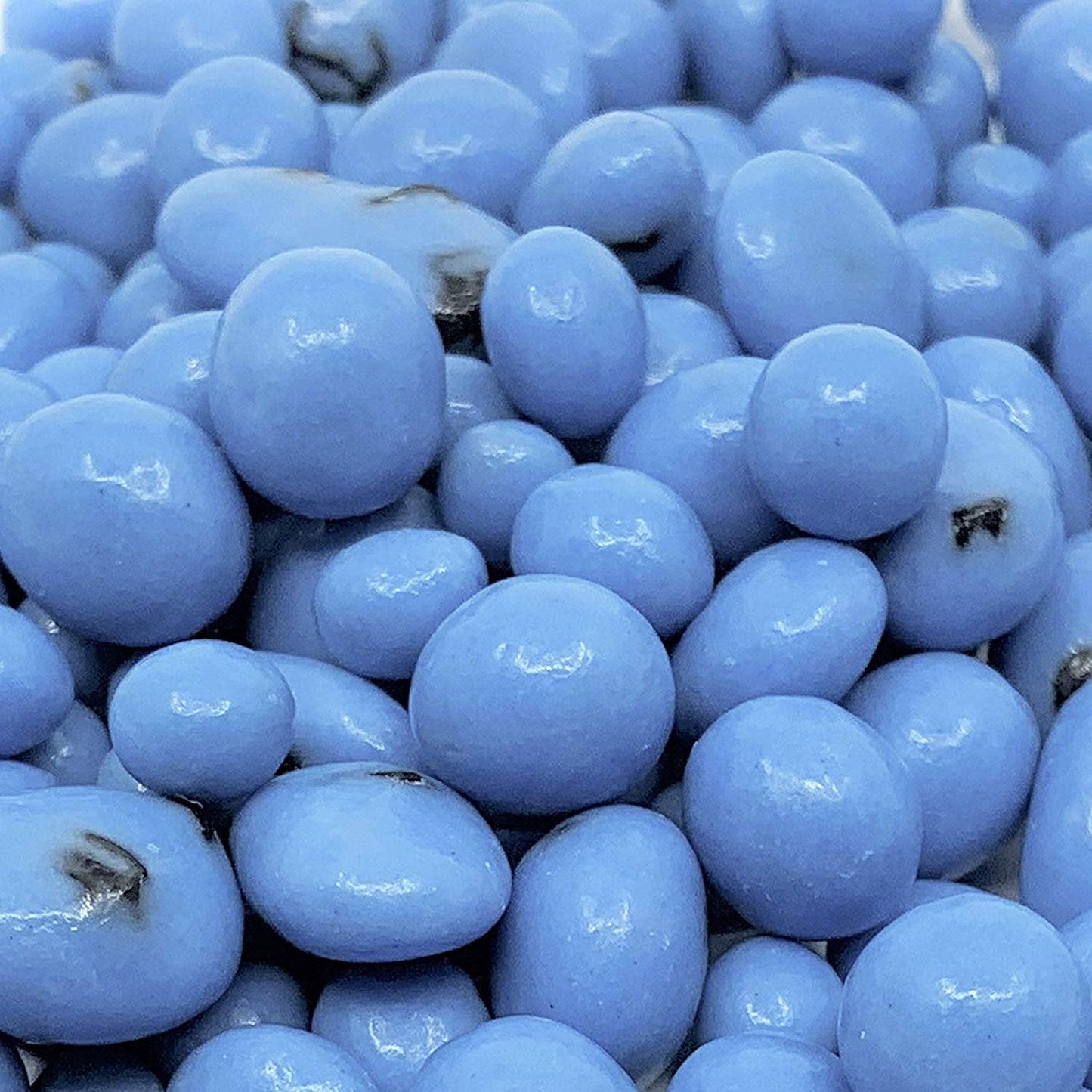 Gourmet Greek Yogurt Coated Blueberries 5 Lbs