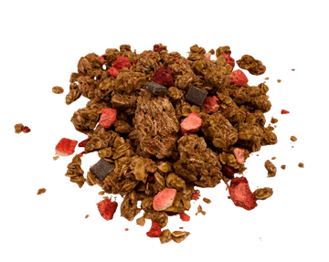 Granola, Dark Chocolate & Red Berries, Nature's Path