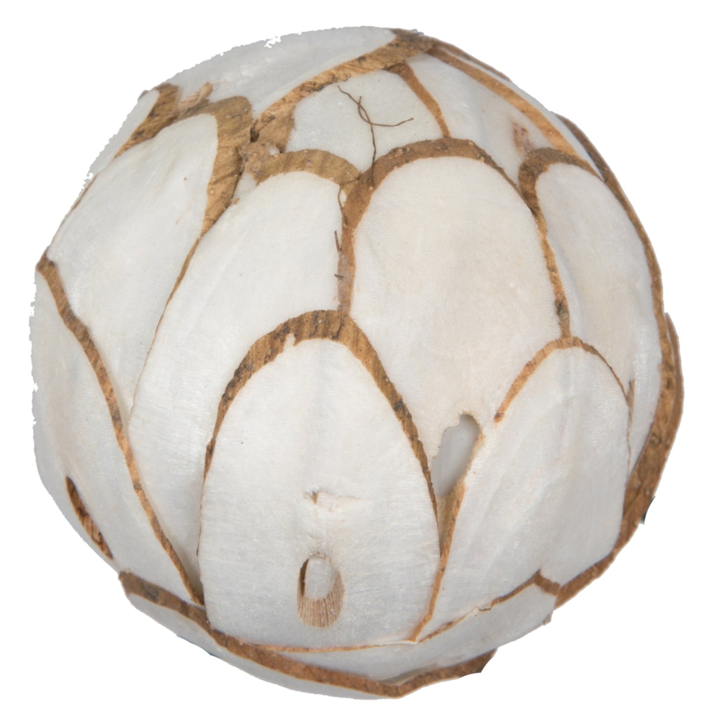 Vickerman Natural Botanicals 1.6'' Sola Chips Ball. Includes 100 pieces per Pack.