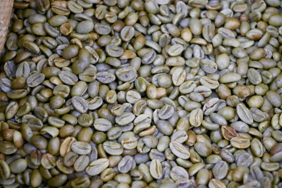 Guadalupe Roastery, Award-Winning Natural Parainema 2026