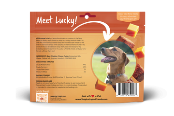 Steak & Cheddar Cheese Bites Dog Treats