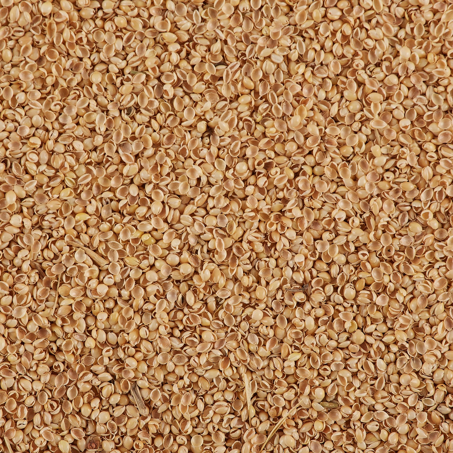 Bucky 1Lb. Millet For Pillow Refills