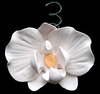 Phalaenopsis Blooms & Buds - 27 total pieces