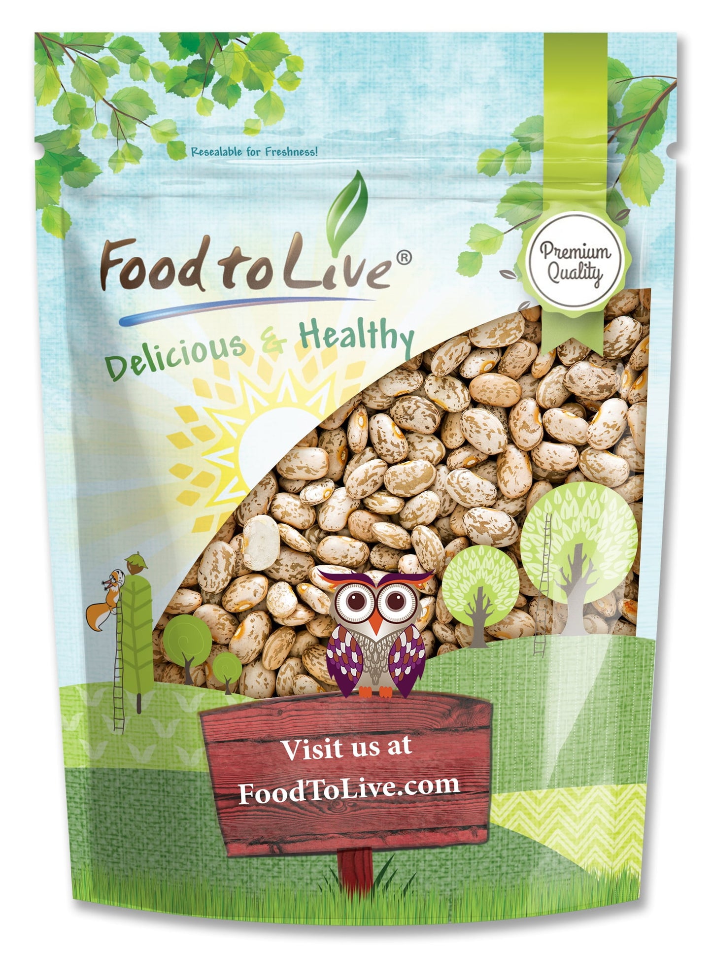 Pinto Beans, 1 Pound Kosher, Raw, Vegan, Sproutable By Food To Live