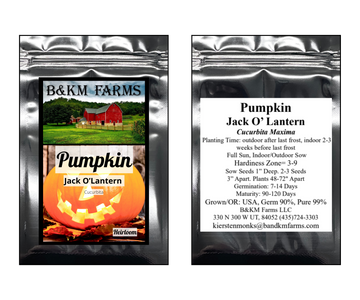 Pumpkin Jack O' Lantern Heirloom Seeds