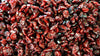 Rosehips Seedless, Cut, Sifted