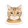 Roy Sticker