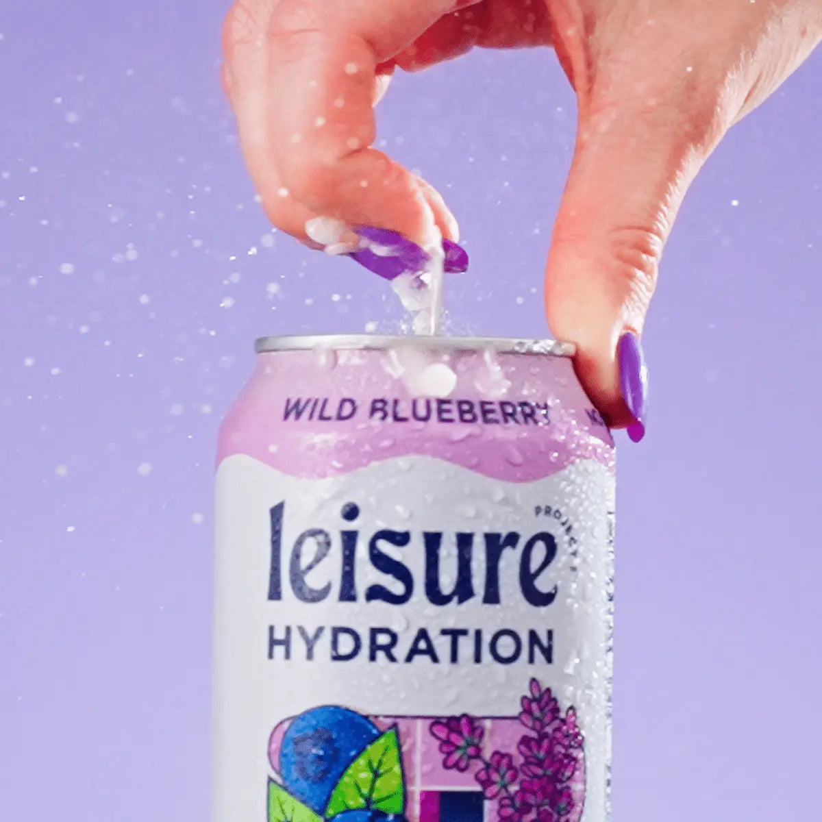 Wild Blueberry 12-Pack