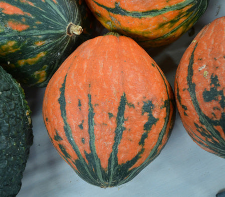 Lakota, Squash