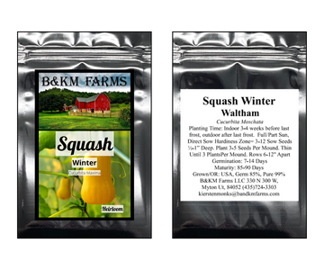 Butternut Winter Squash