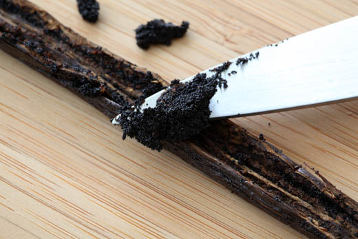 Gourmet Vanilla Bean 3-Count