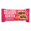 Natures Bakery Stone Ground Whole Wheat Fig Bar - Raspberry - 2 Oz - Case Of 12(D0102H5Kmx6)