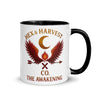 Mug With Color Inside
