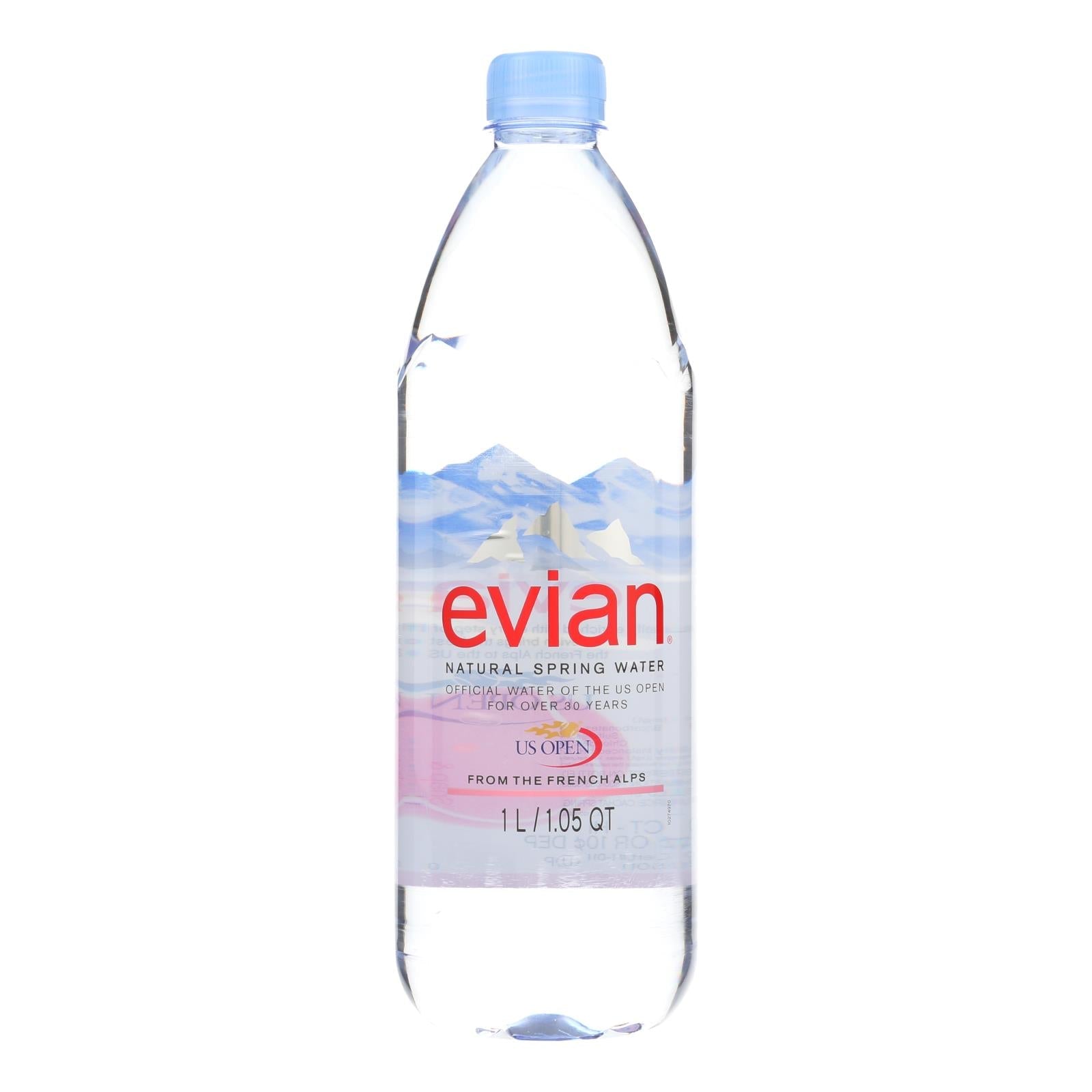 Evian Spring Water - 12 Pack, 33.8 FL oz Bottles – Groceryeshop