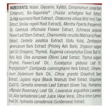 Nature's Answer Alcohol-Free Cinna Mint Mouthwash 16oz