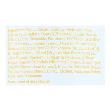 Everyone - Hand Soap - Meyer Lemon And Mandarin - 12.75 Oz