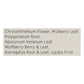 Health King Cholesterol Guard Herb Tea - 20 Tea Bags