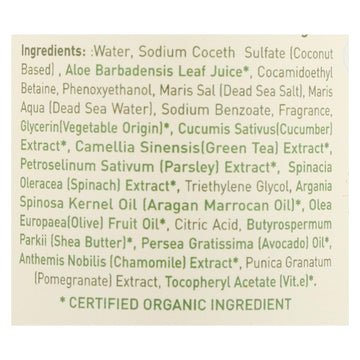 Ecolove Green Veggie Body Wash 17.6oz, Ages 6m+ (Case of 500)