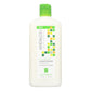 Andalou Silky Smooth Conditioner with Marula Oil - 11.5 Fl Oz