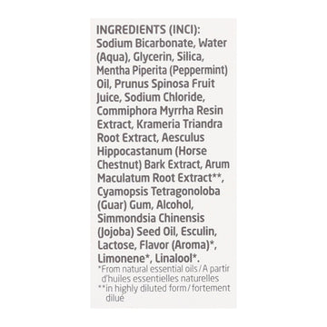 Weleda Salt Toothpaste Peppermint - 2.5 Oz