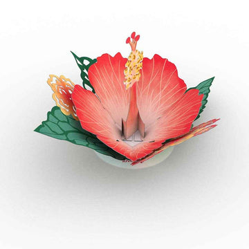 Stickerpop™: Hibiscus Bloom (1-Pack), Stickers